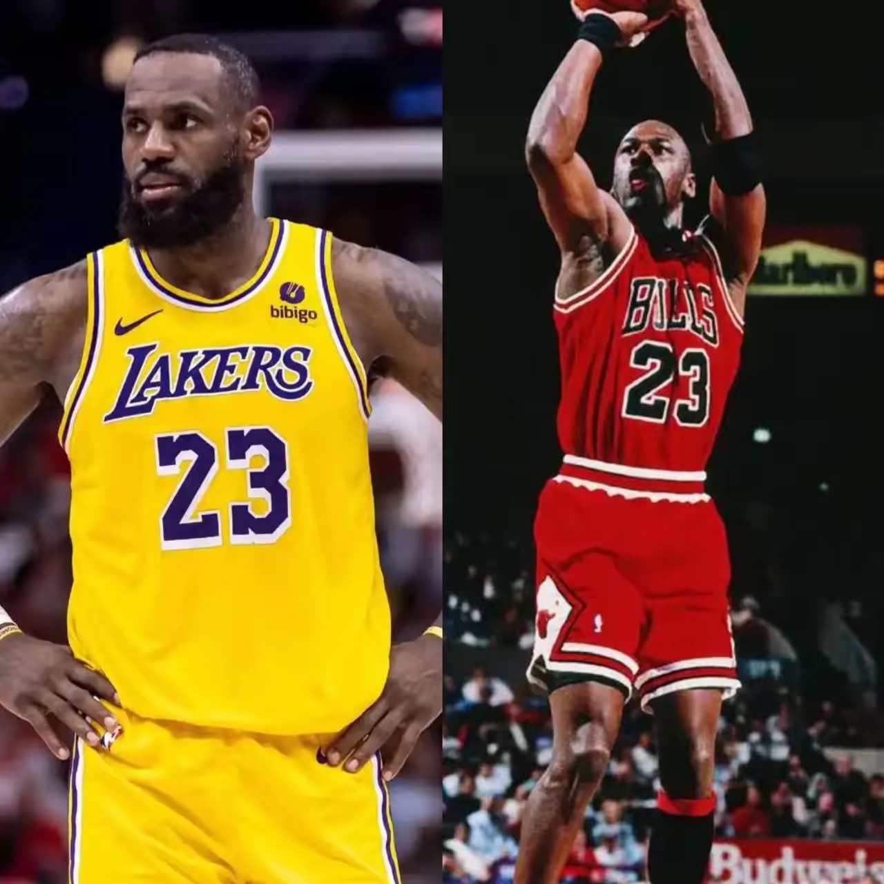 NBA历史上最伟大的球员：迈克尔·乔丹和勒布朗·詹姆斯的简单介绍