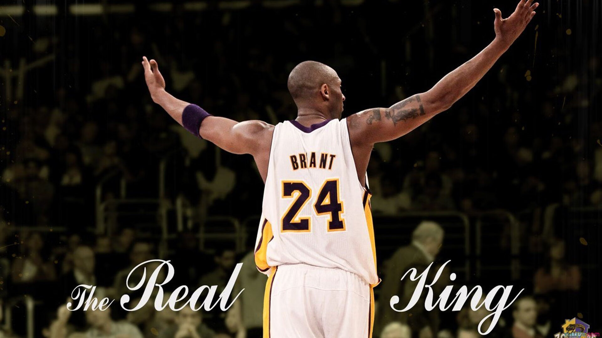 孤星与群狼,波尔如何扛起韩国队的夜空